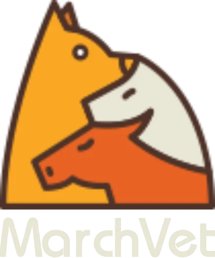 MarchVET